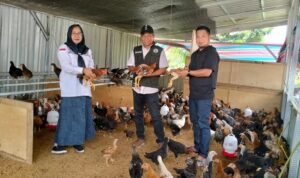 IMG-20260504-WA0068