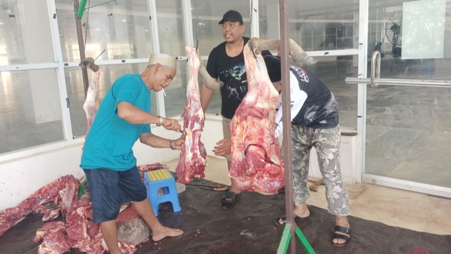 Proses pemotongan hewan kurban di Masjid Agung Lasusua. Foto: istimewa.