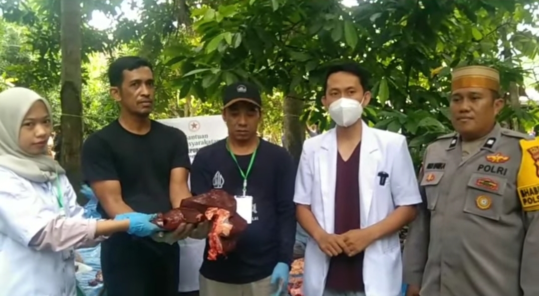 Proses pemeriksaan hewan kurban oleh dokter hewan Dinas Perkebunan dan Peternakan Kolaka Utara,  drh. Sahrir. Foto: istimewa.