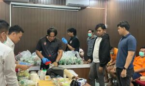 Oplus_16908288