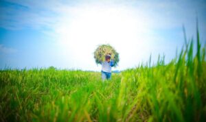 IMG-20260812-WA0138